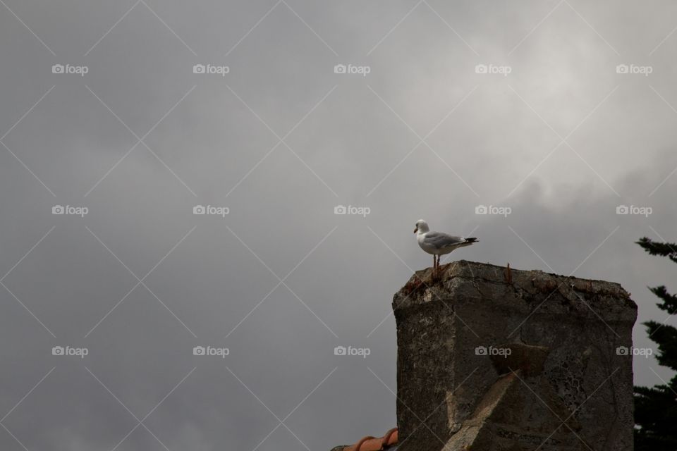 old house in the village