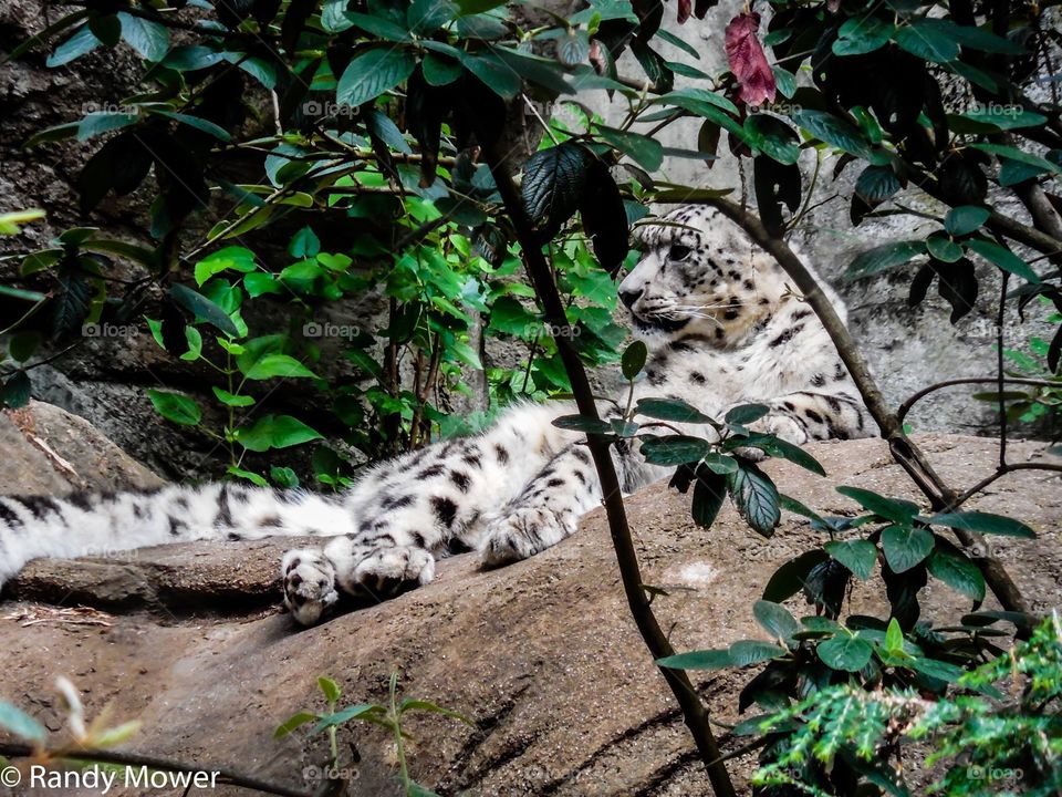 Rodger Williams Park Zoo
Providence RI