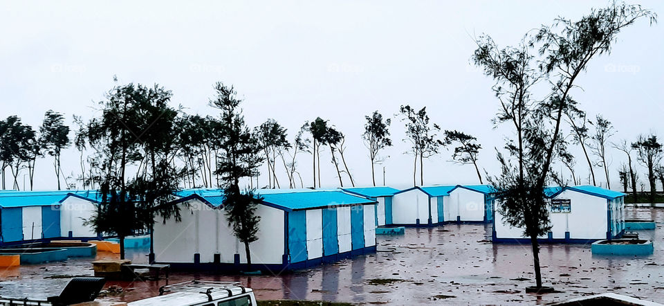 Day and Night: Front sea facing small blue & white coloured cottages covered with tall trees near Beach side.Beautiful scenic view.
