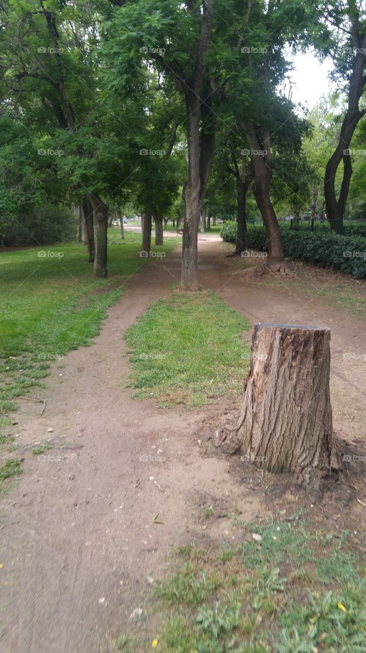 Walk park