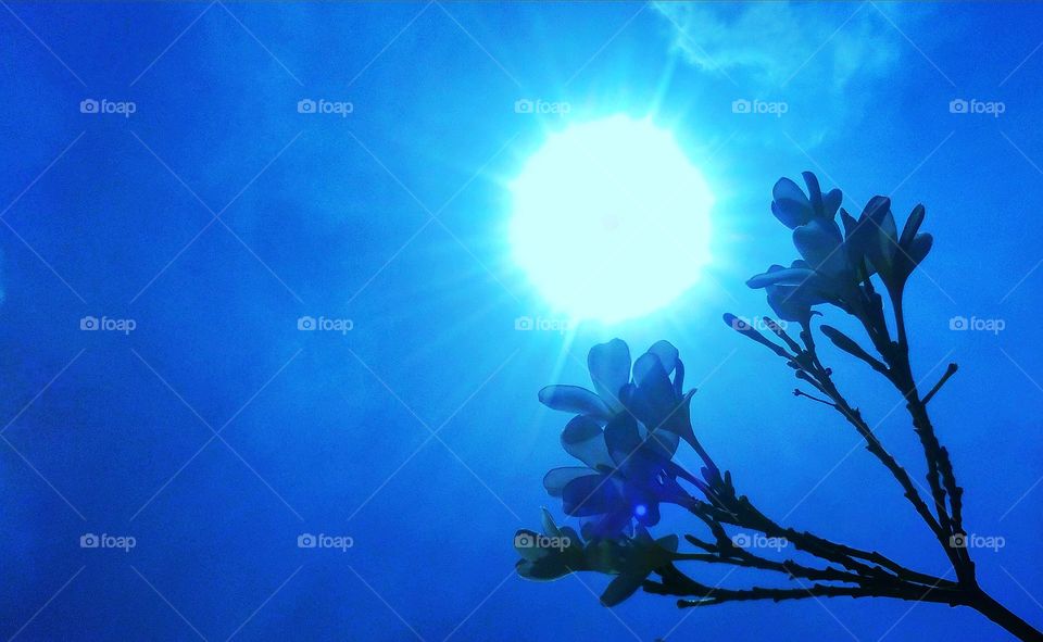 #foap #infoapartemen #foapjuly18 #foapaug18 #foapfeb18 #foapapril17 #foapers #foapjune18 #fotografoaprendiz #sfoapprentices #foaper #infoapartment #foapmission #foapmay18 #foapapr18 #foapit #infoaplikasipaytren #infoapple #foapom #foapjan19 #infoapp 