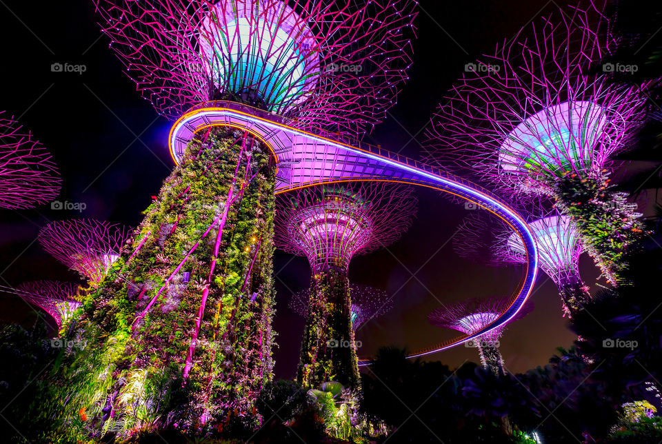 Colors of giant trees at night lights show in Singapore 