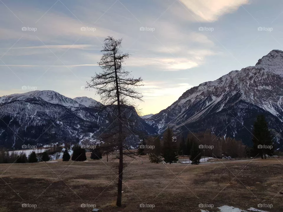 Mountain