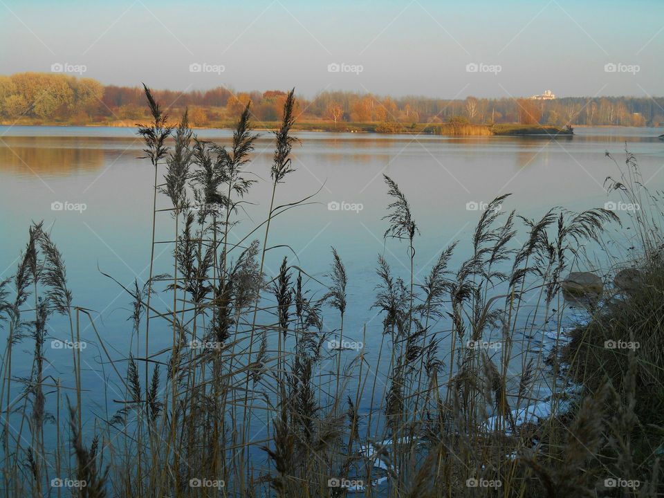 lake landscape