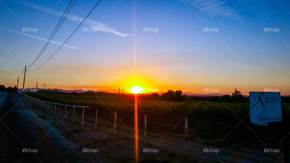 Sunset over the vineyard