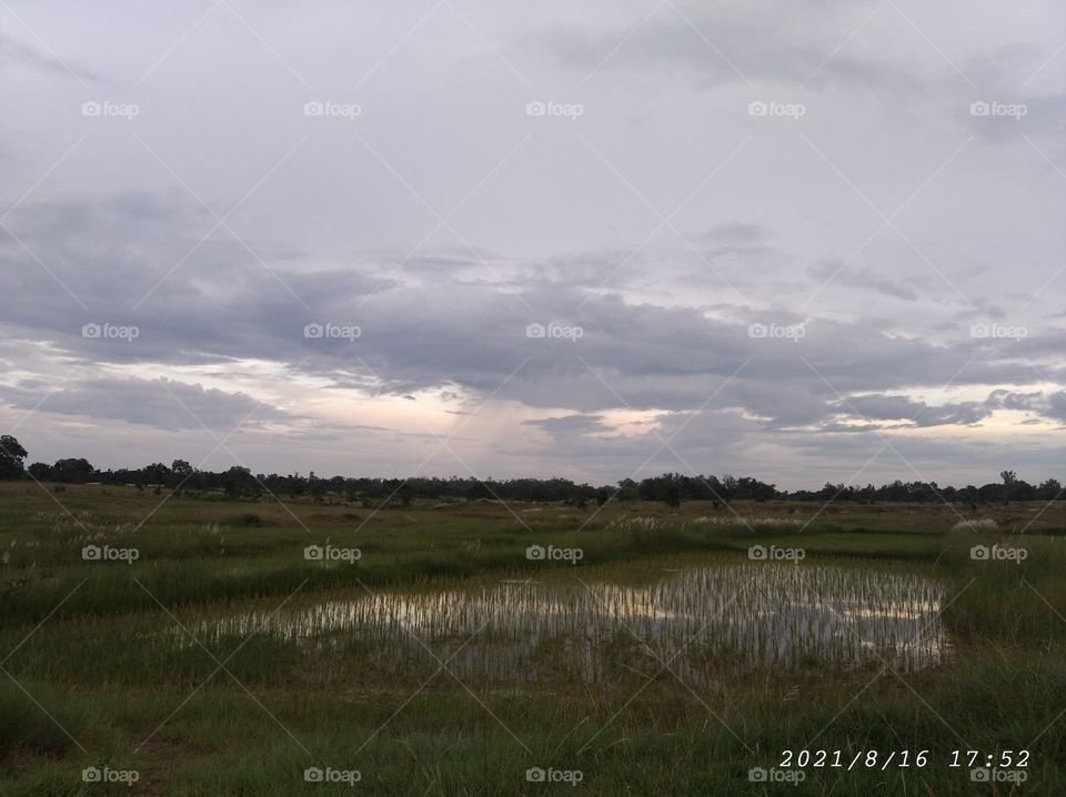 ☁️☁️☁️🌾🌾