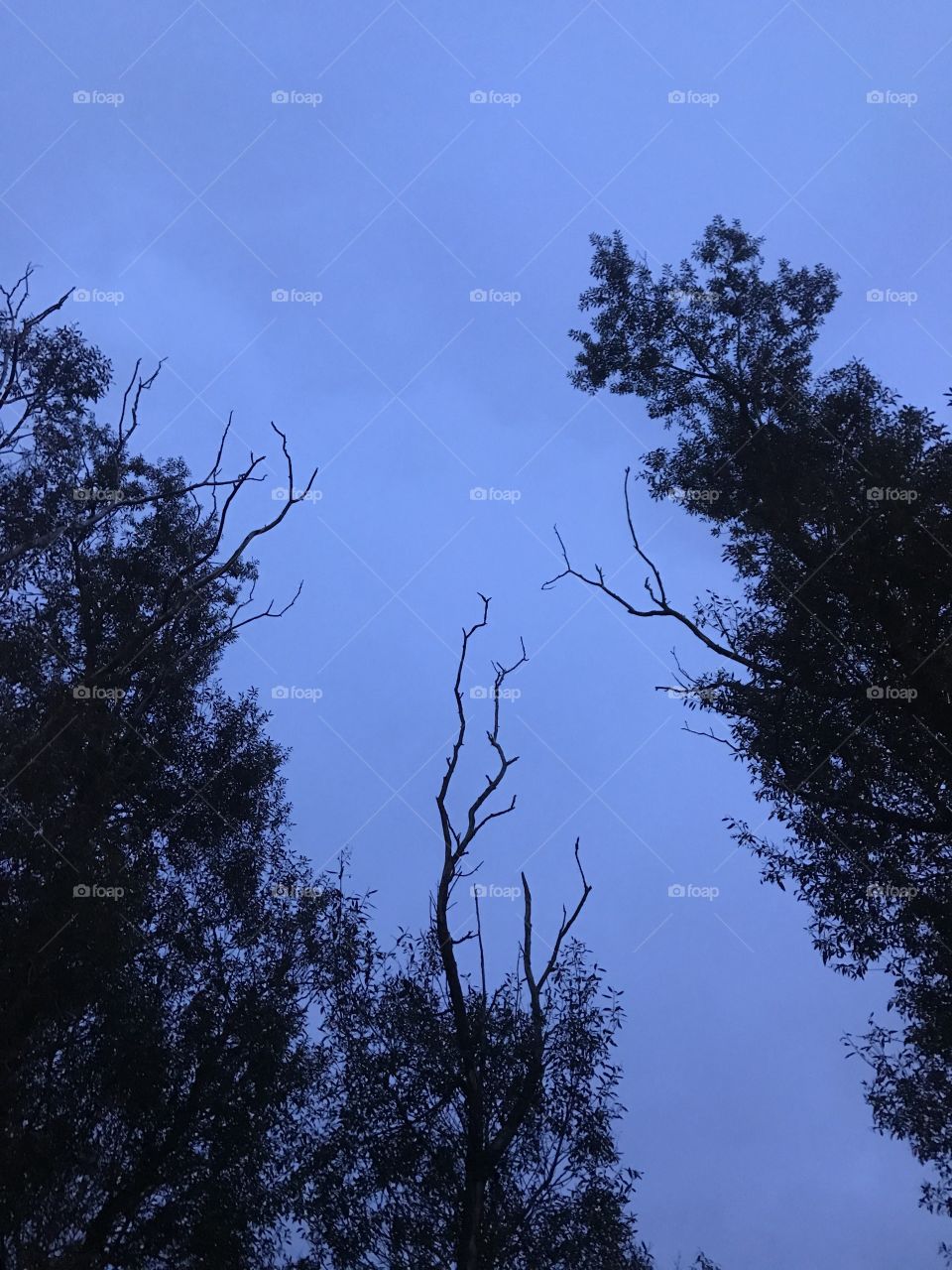 The darkness of fall 