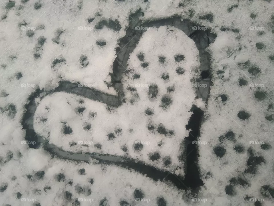 Heart