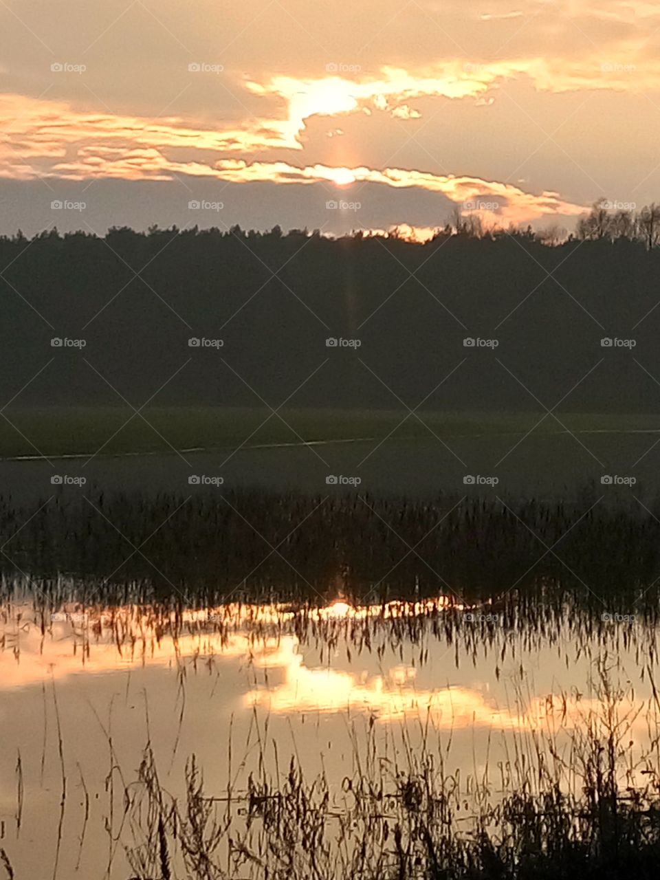 polish nature | sunset at the river pools