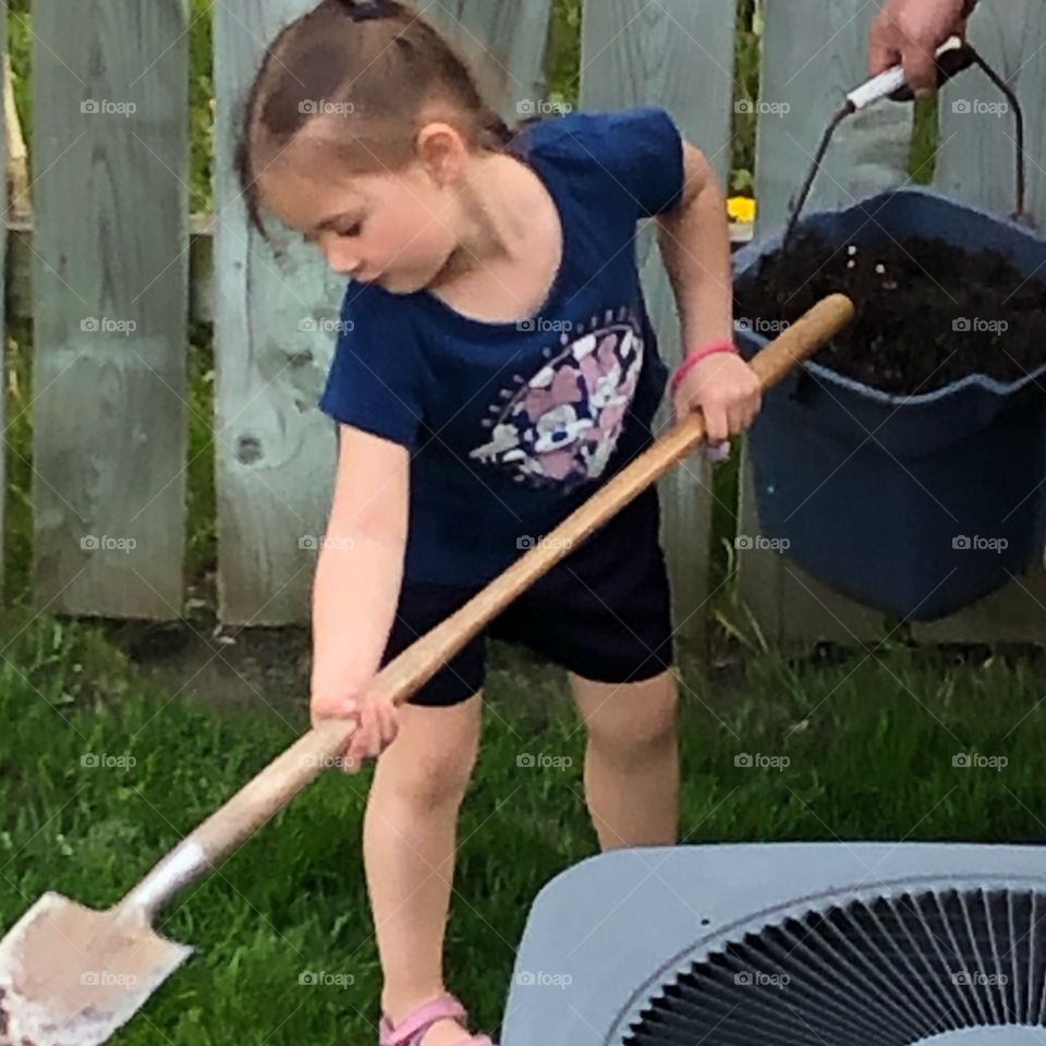 Hard At Work Digging In The Yard