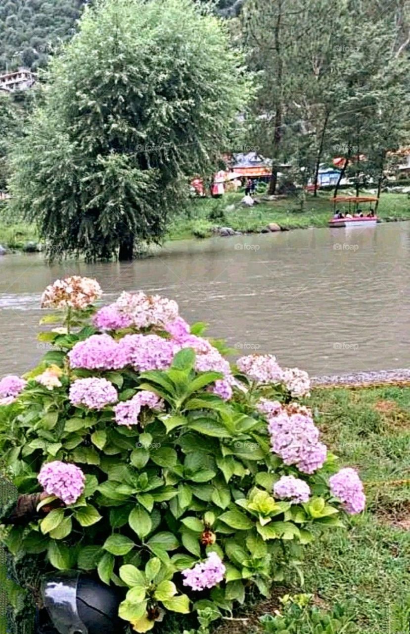 A most beautiful and attractive view.