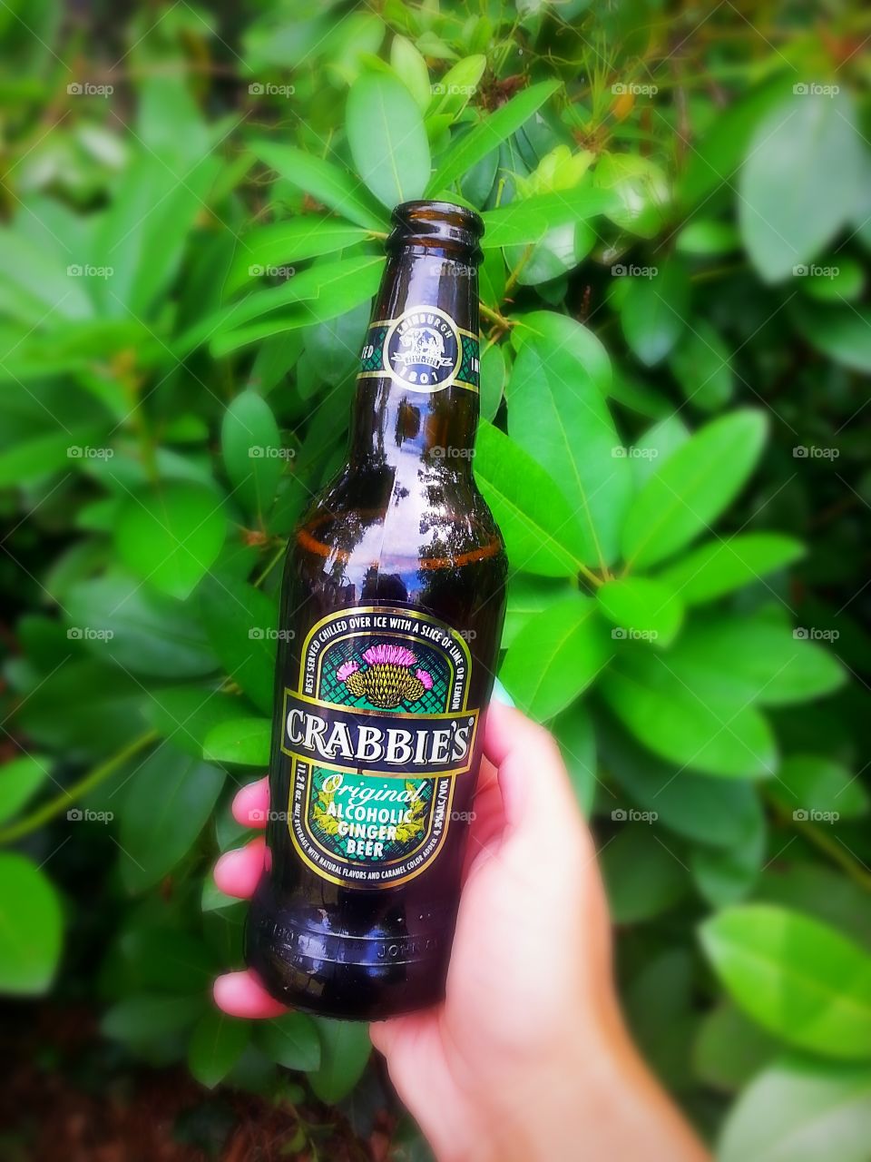 Beer, Summer, Nature, Color, Drink
