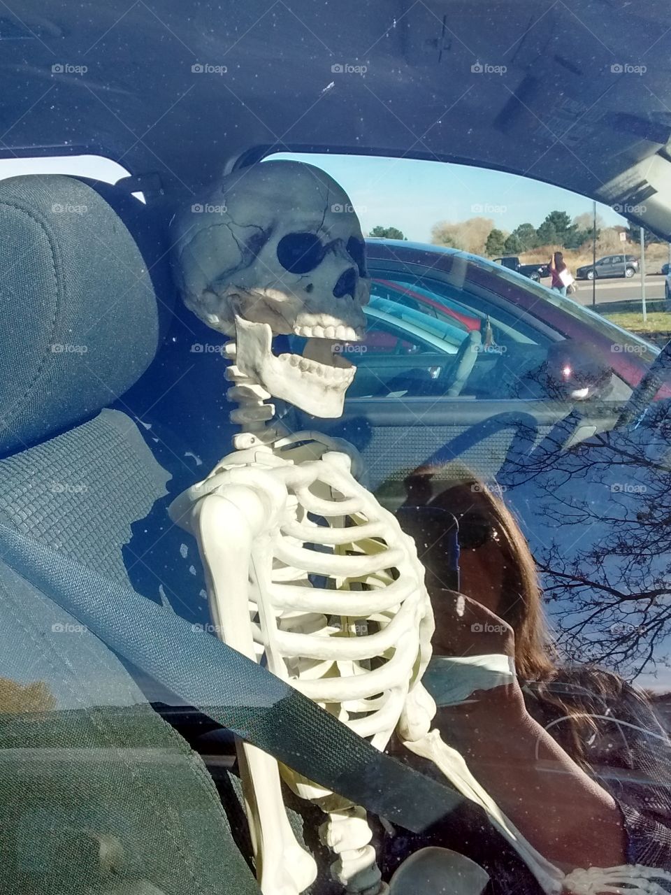 skeleton passenger