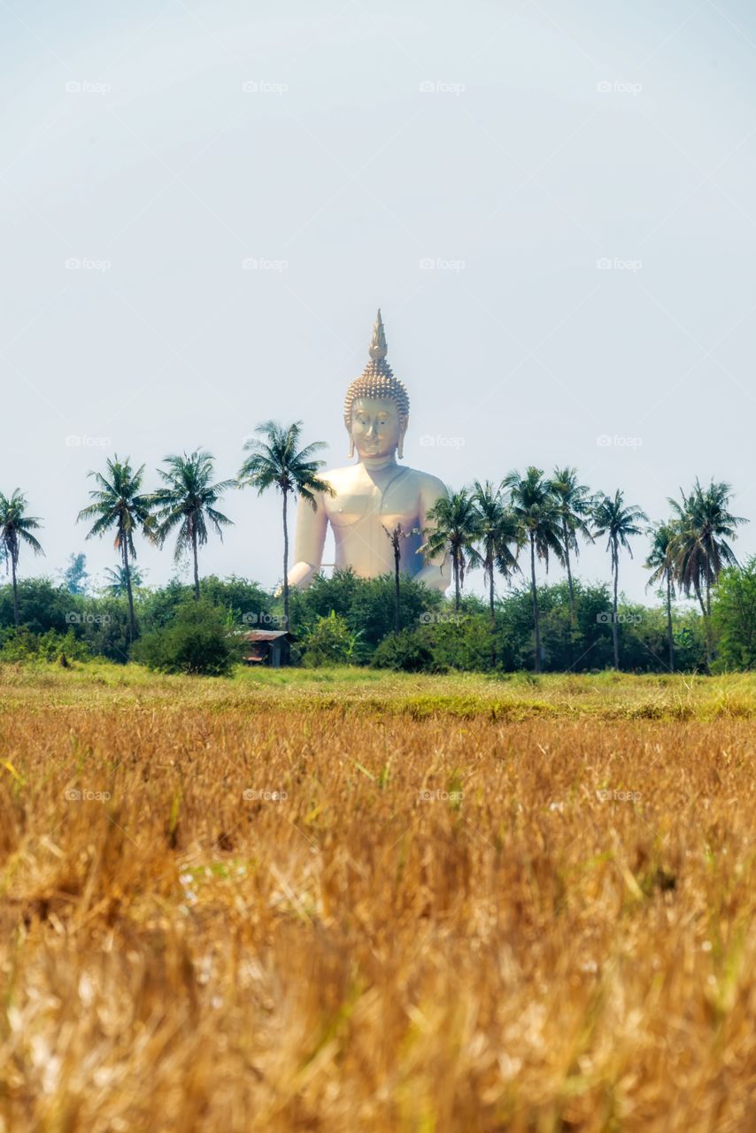 Beautiful big Buddha in Thailand