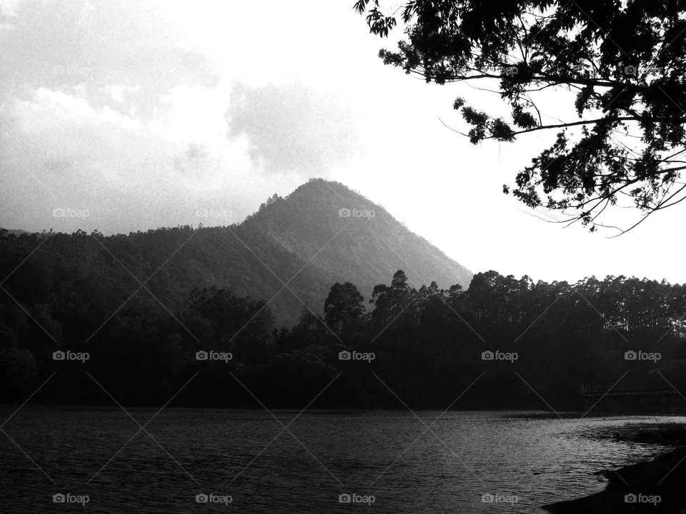 lake view