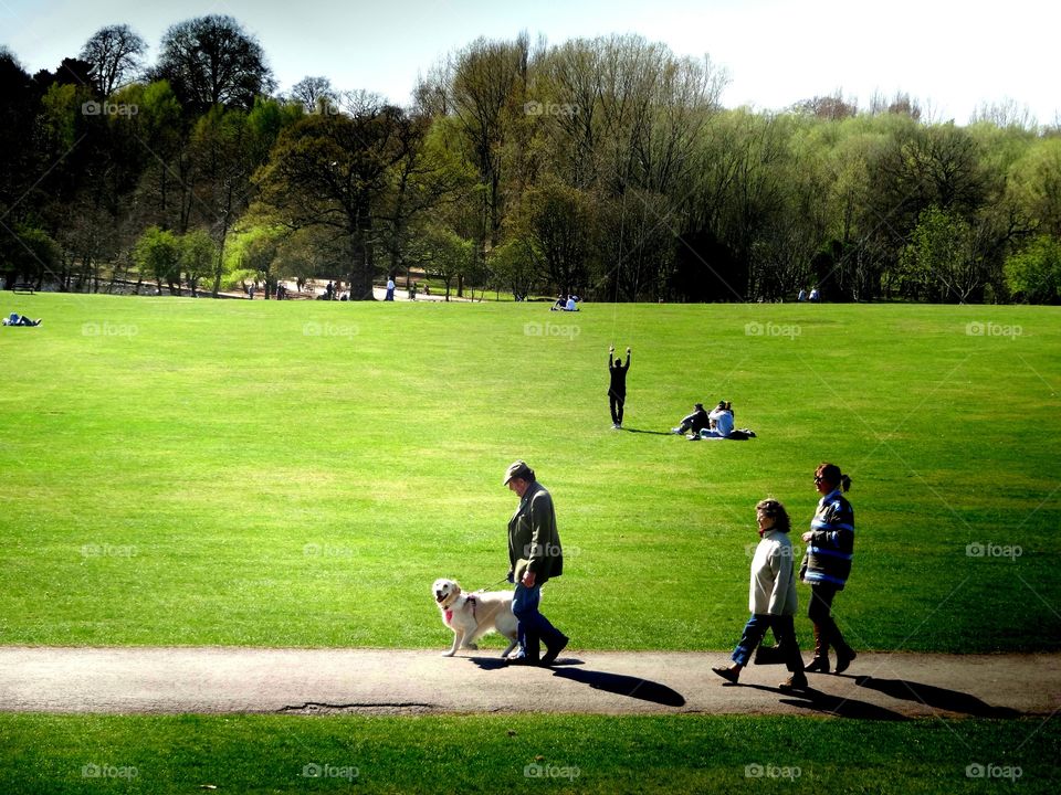 walk with dog. people on the walk