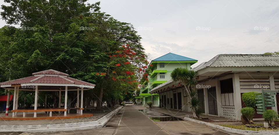 phibol withayalai school