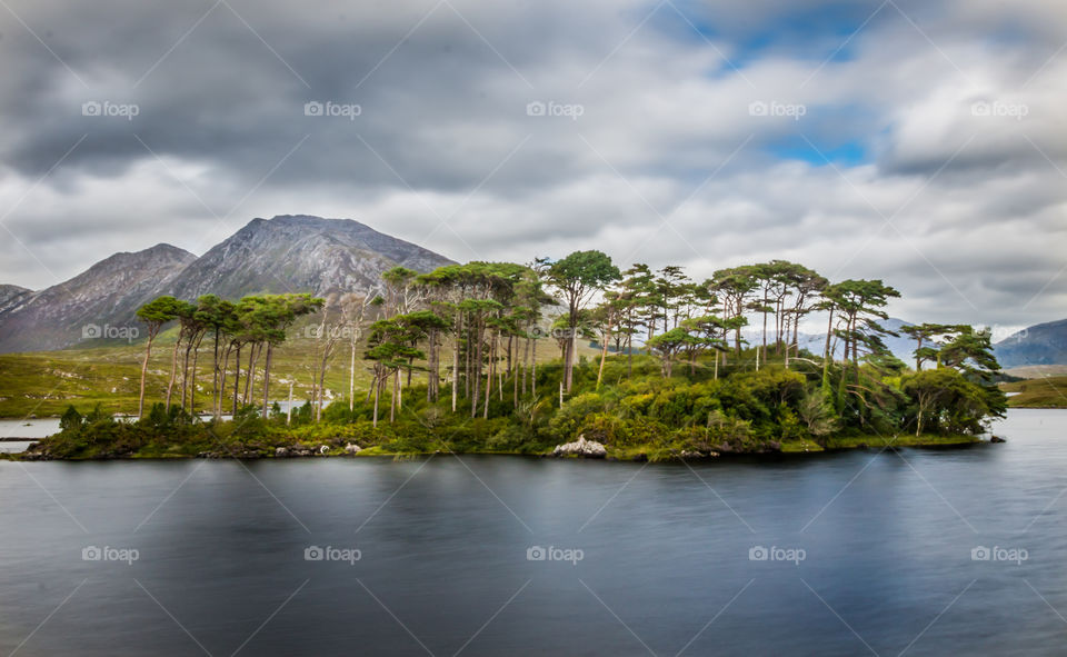 Scenic view of lake