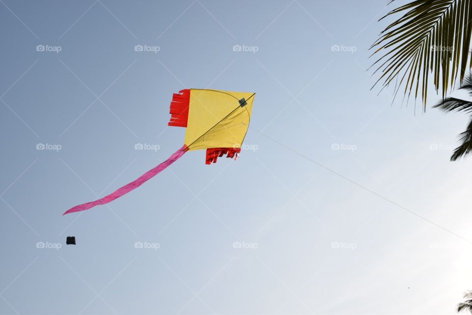 The kite 