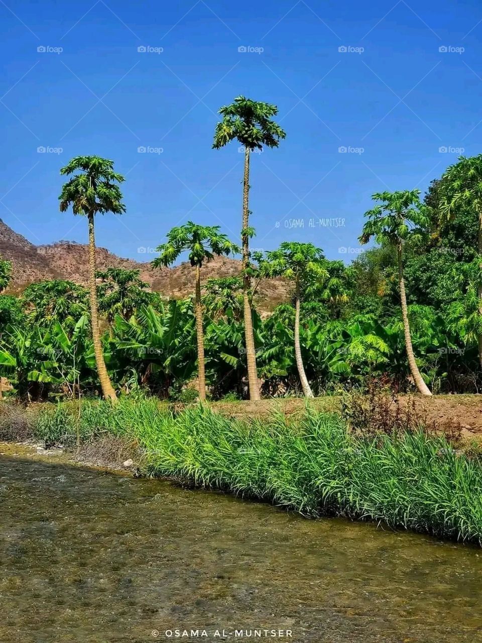 Glory be to God, the magnificent and picturesque view and the natural green trees are a view that is nothing more wonderful than it