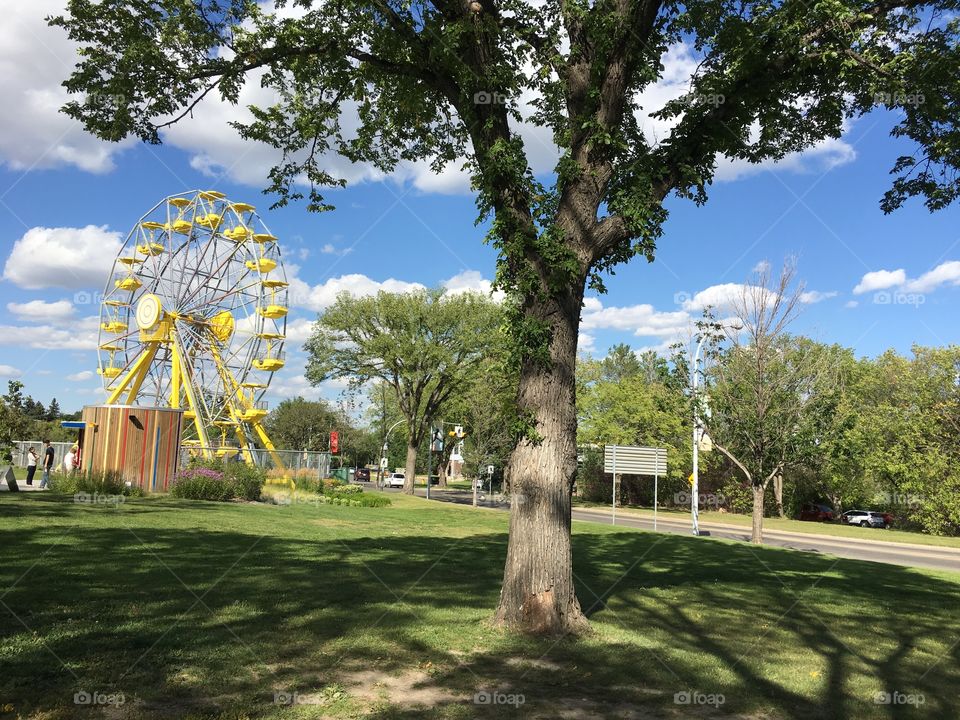 Park, Tree, No Person, Grass, Sky