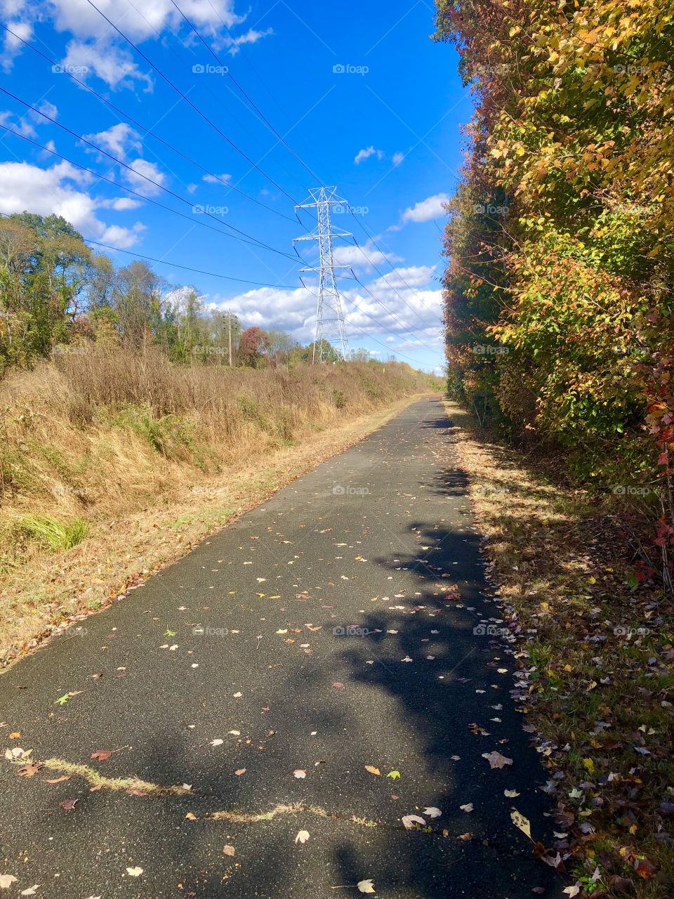 Trail and bike road