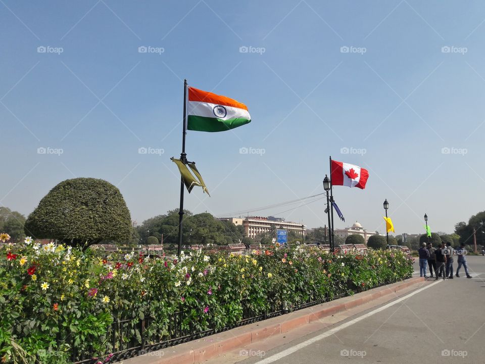 Rashtrapati Bhawan, Delhi