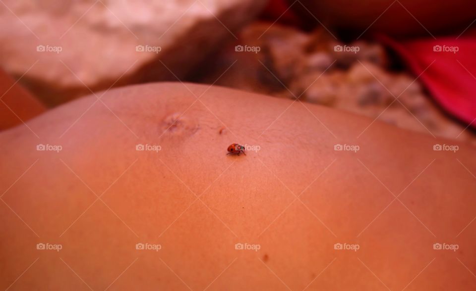 ladybird over a pregnant woman