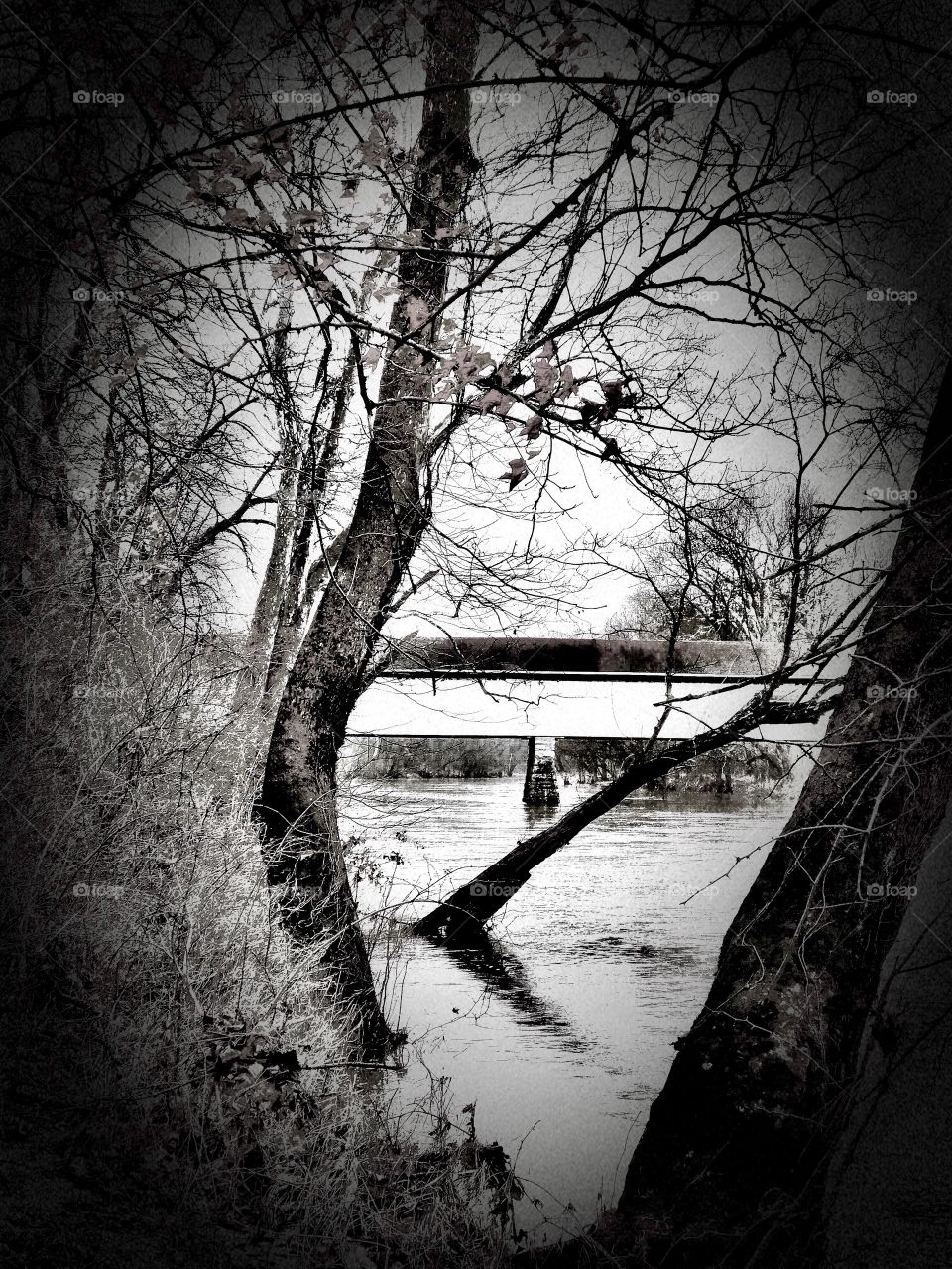 Beautiful black and white view of the bridge. 