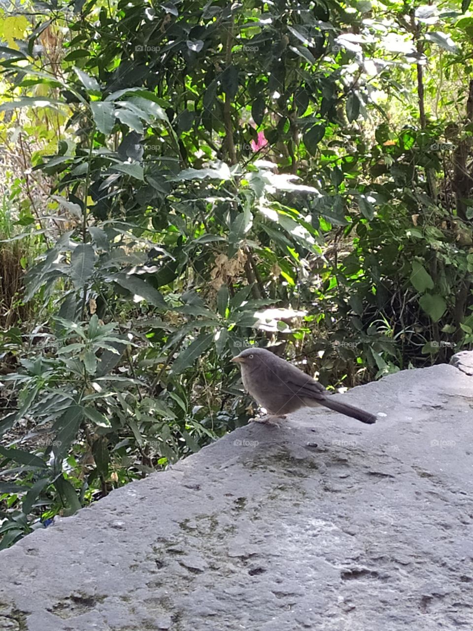 Watching and enjoying beauty of nature