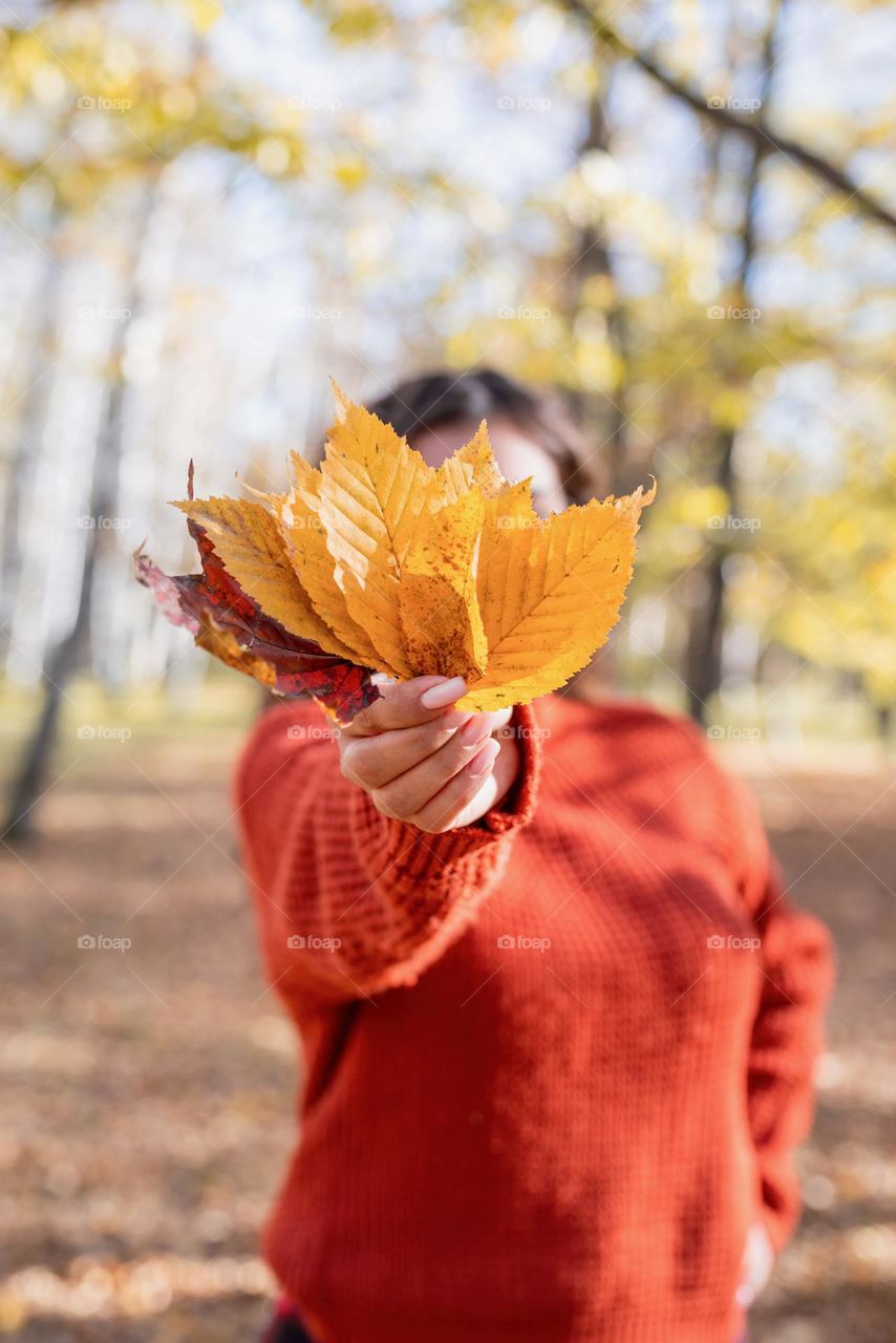 autumn palette