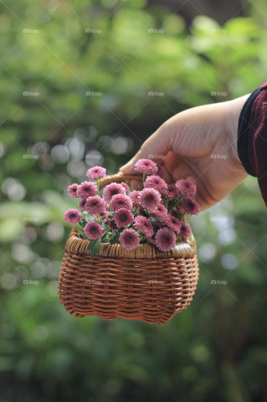Pink flowers in a rattan vase on hand