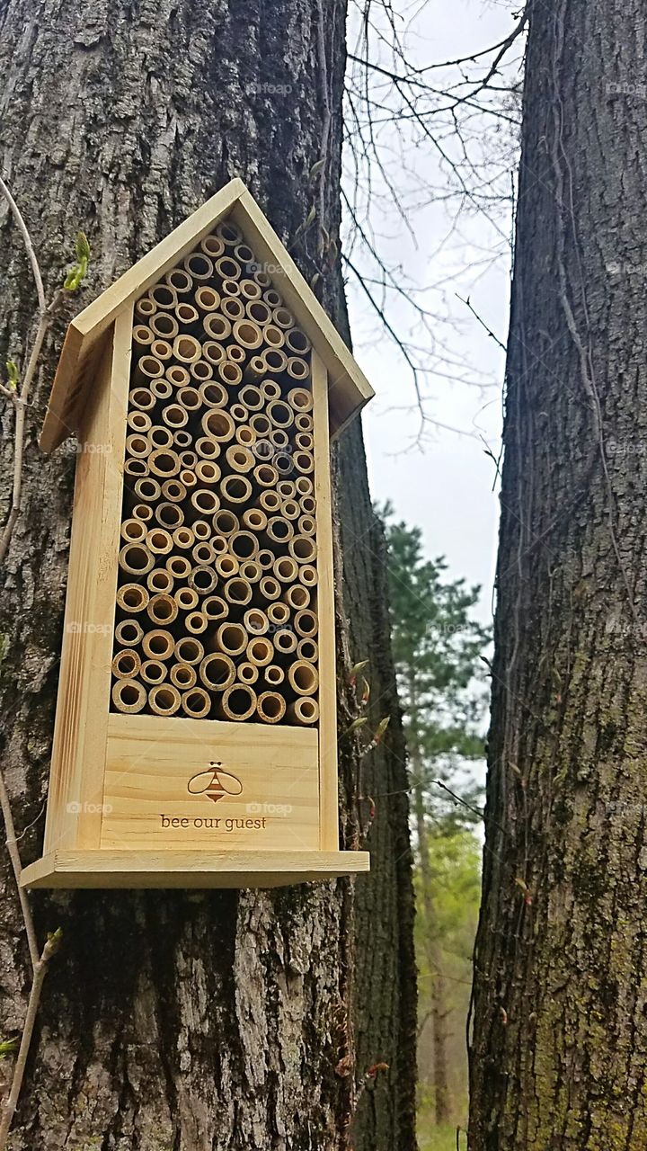wooden bee habitat