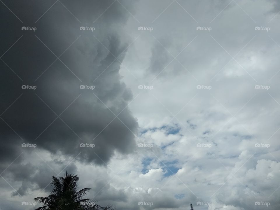 Rainy Days with nature