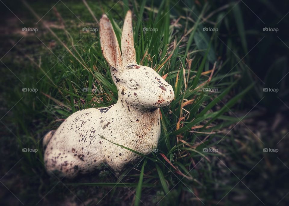 A white iron bunny in a tuft of new grass a first sign of spring