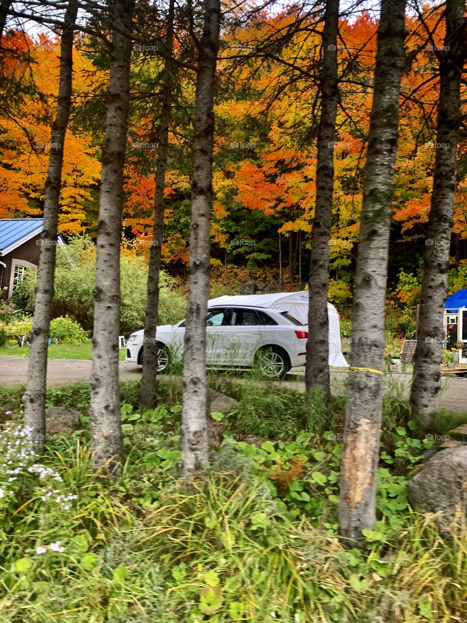 Superb autumn weekend in the countryside, Laurentians , Quebec, Canada 🍁