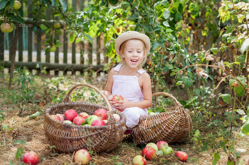 girl picking apples in the garden