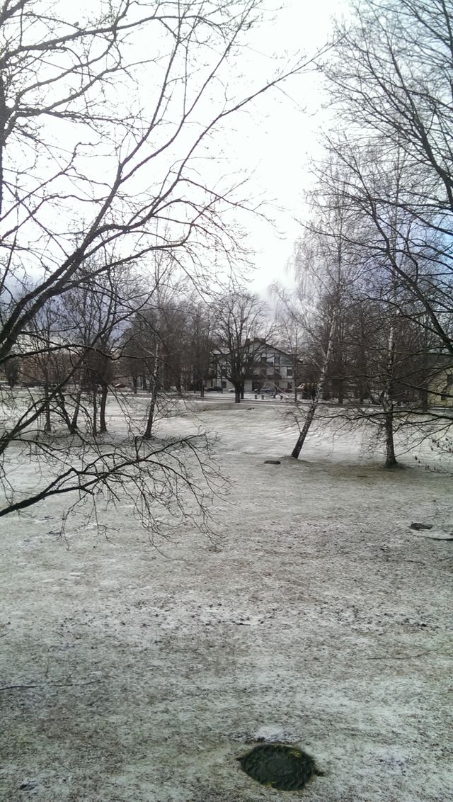 nature in winter