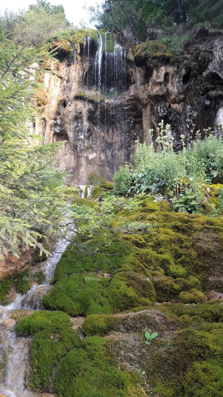 Nature, Water, Wood, Waterfall, Landscape