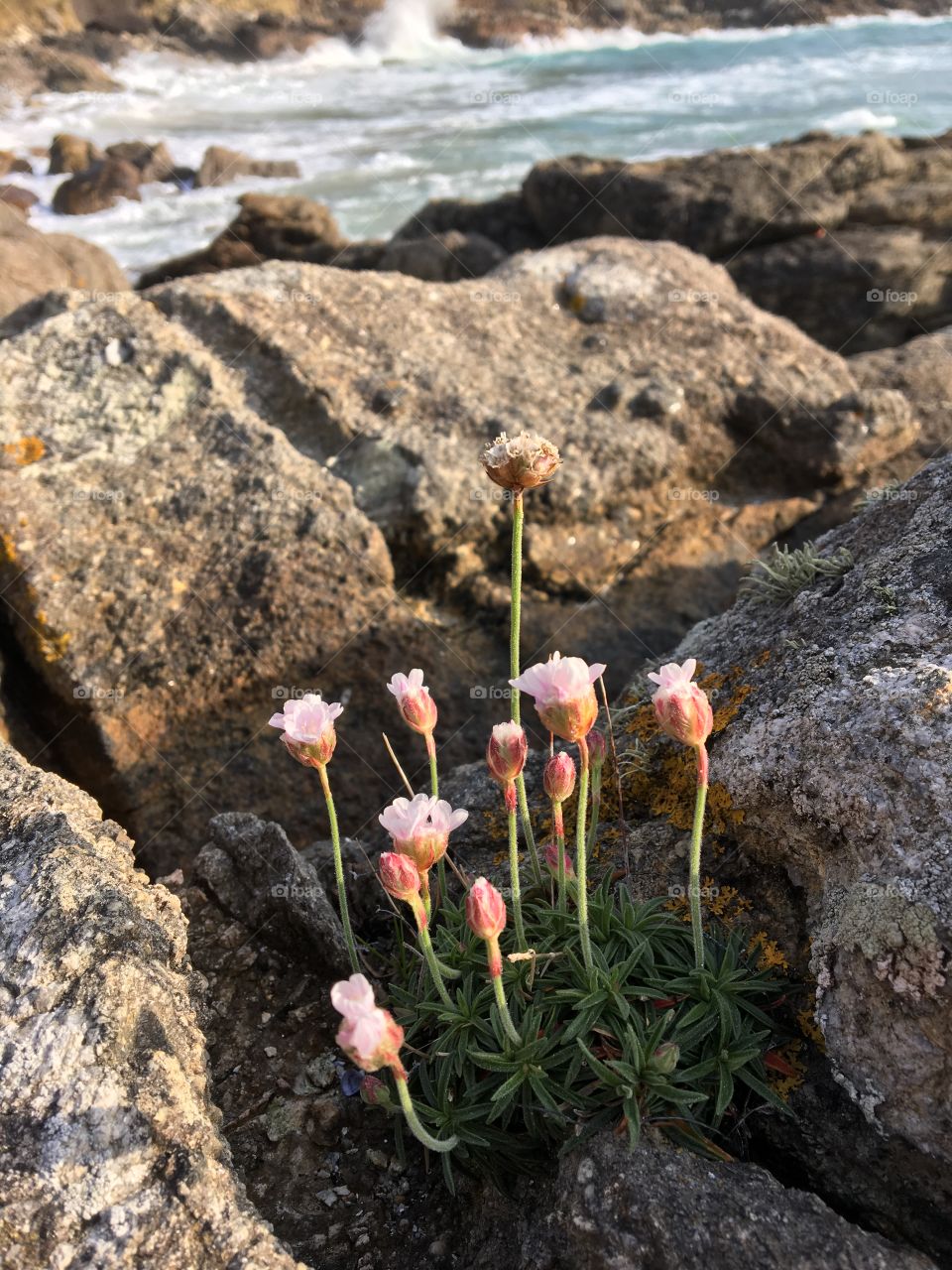 Exploring the Spanish coast