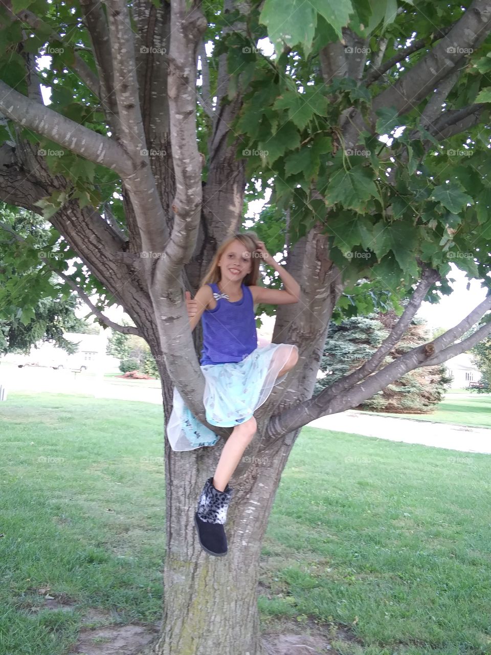 Little Tree Climber