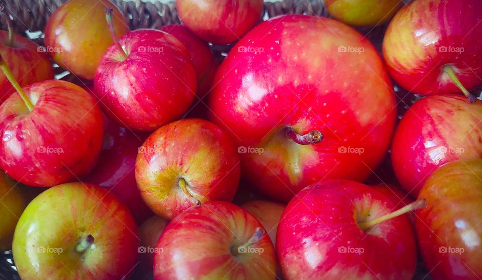 Top view of organic red apples