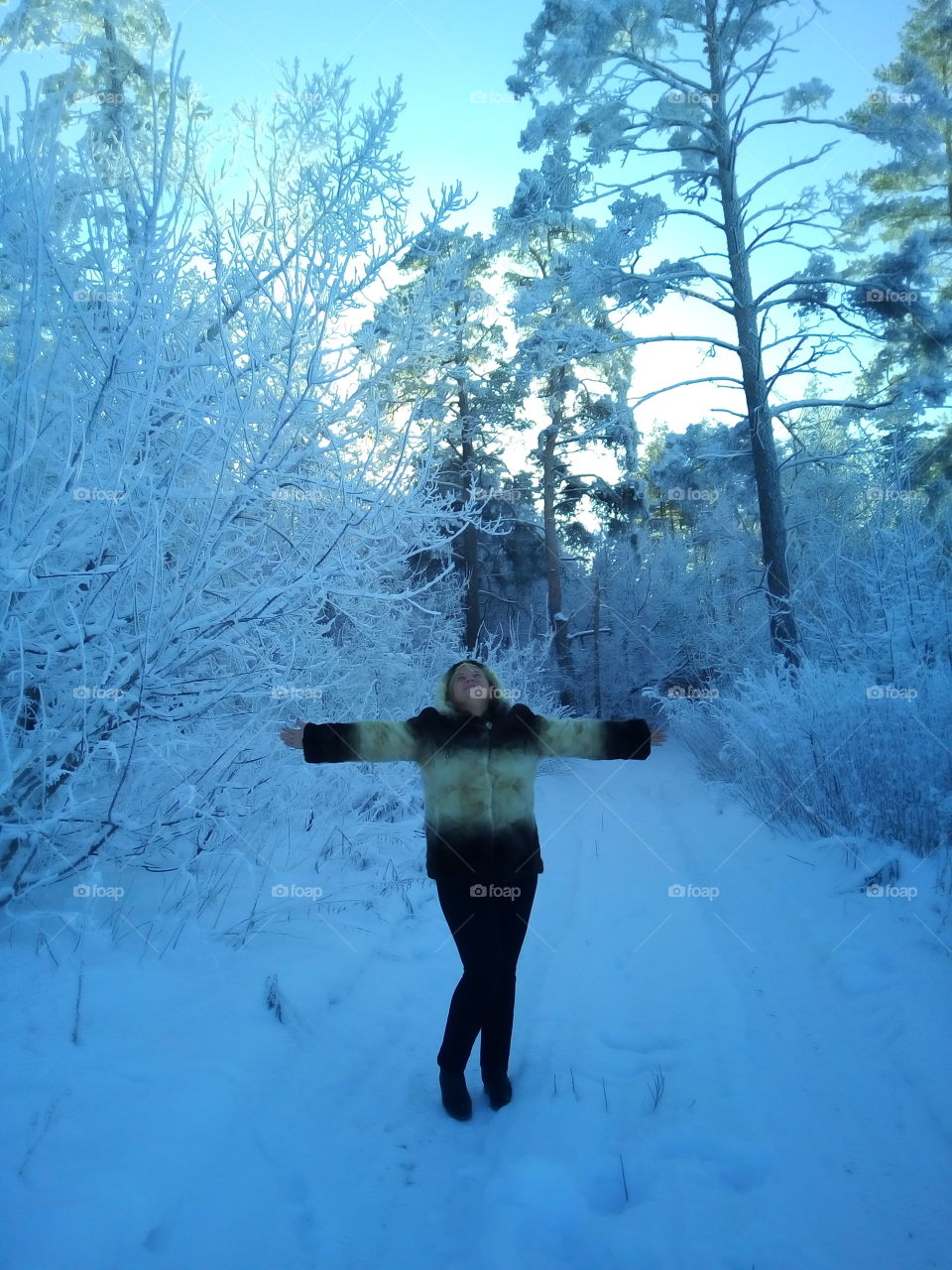 в зимнем лесу