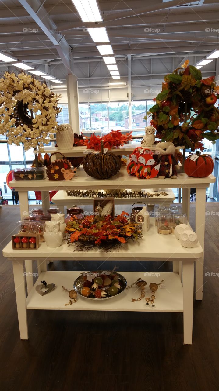 autumn fall decorations in tkmax store 2016