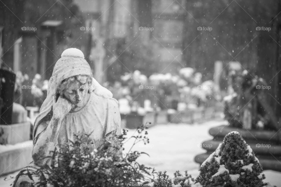 Snow in cemetery