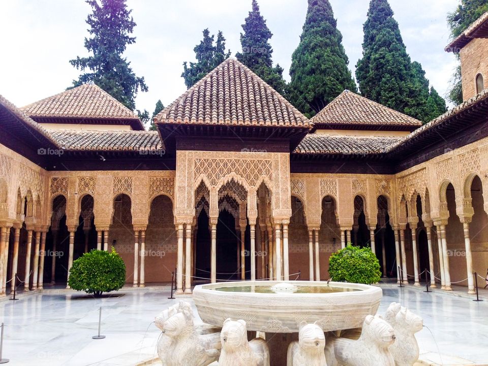Leones of Alhambra