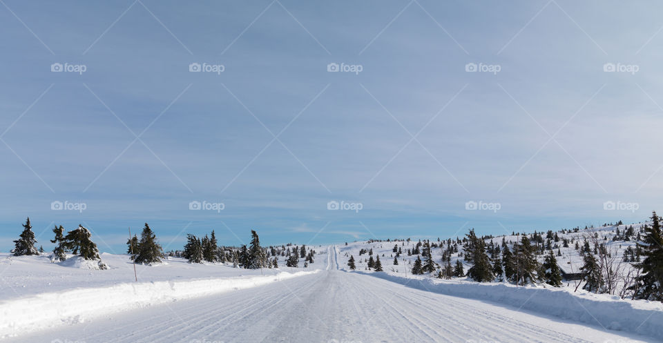 Winter Road