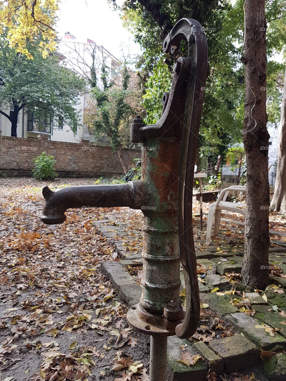 Tree, No Person, Wood, Outdoors, Old