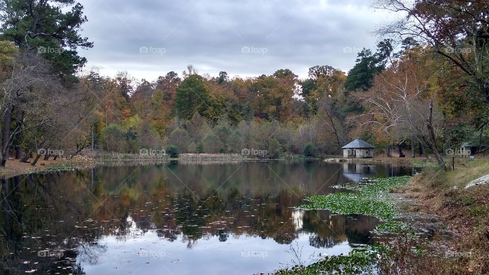 Pond at Forest Hill Park, Richmond, Virginia