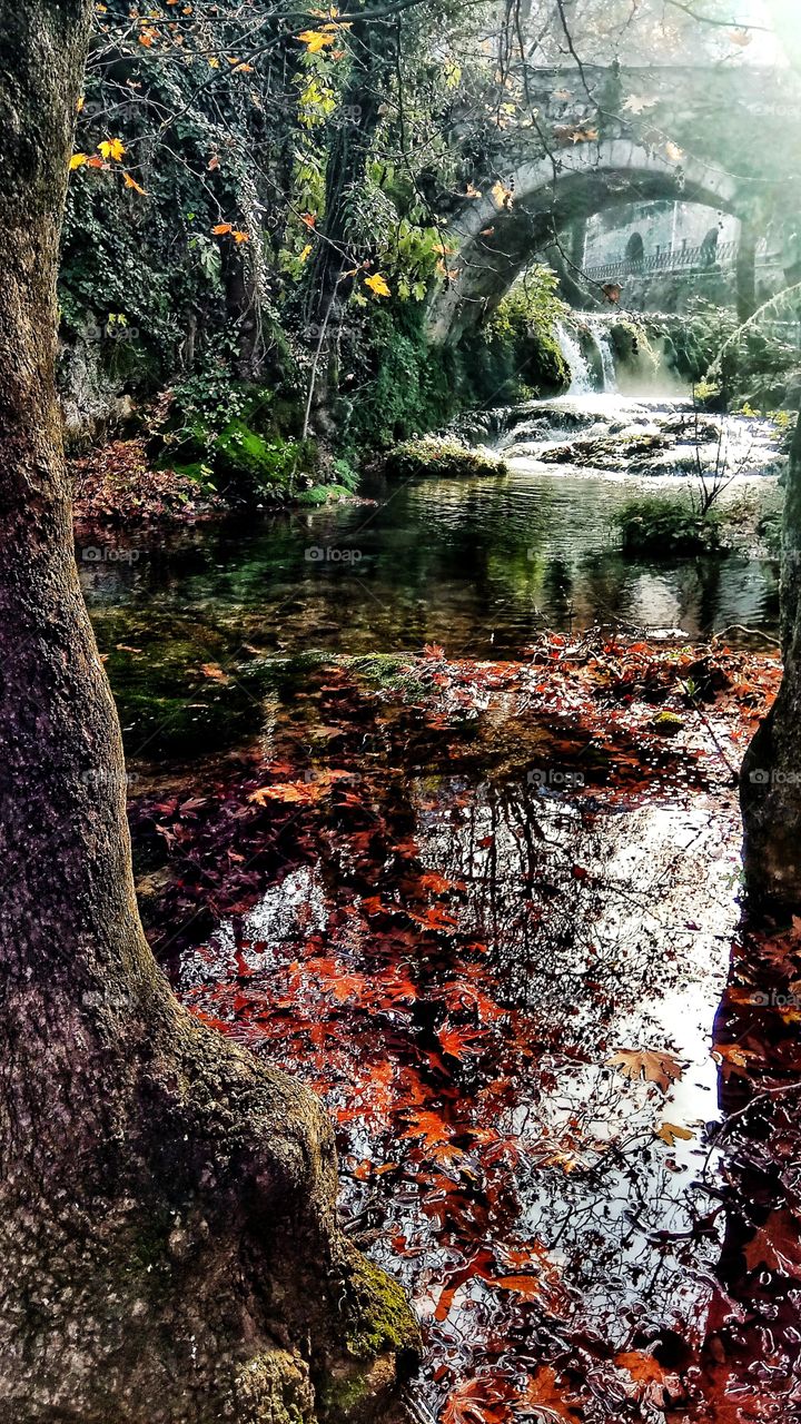 Fallen leaves and alien reflections near a miniature waterfall in Piges Kryas,Livadeia